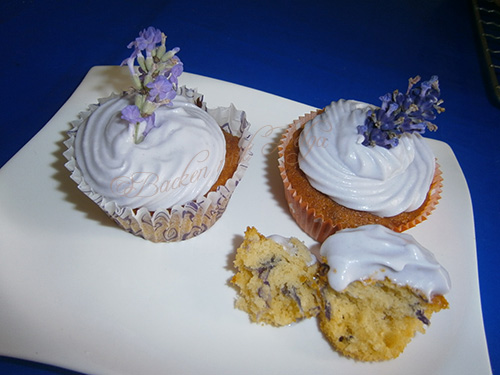 Lavendel Cupcakes 